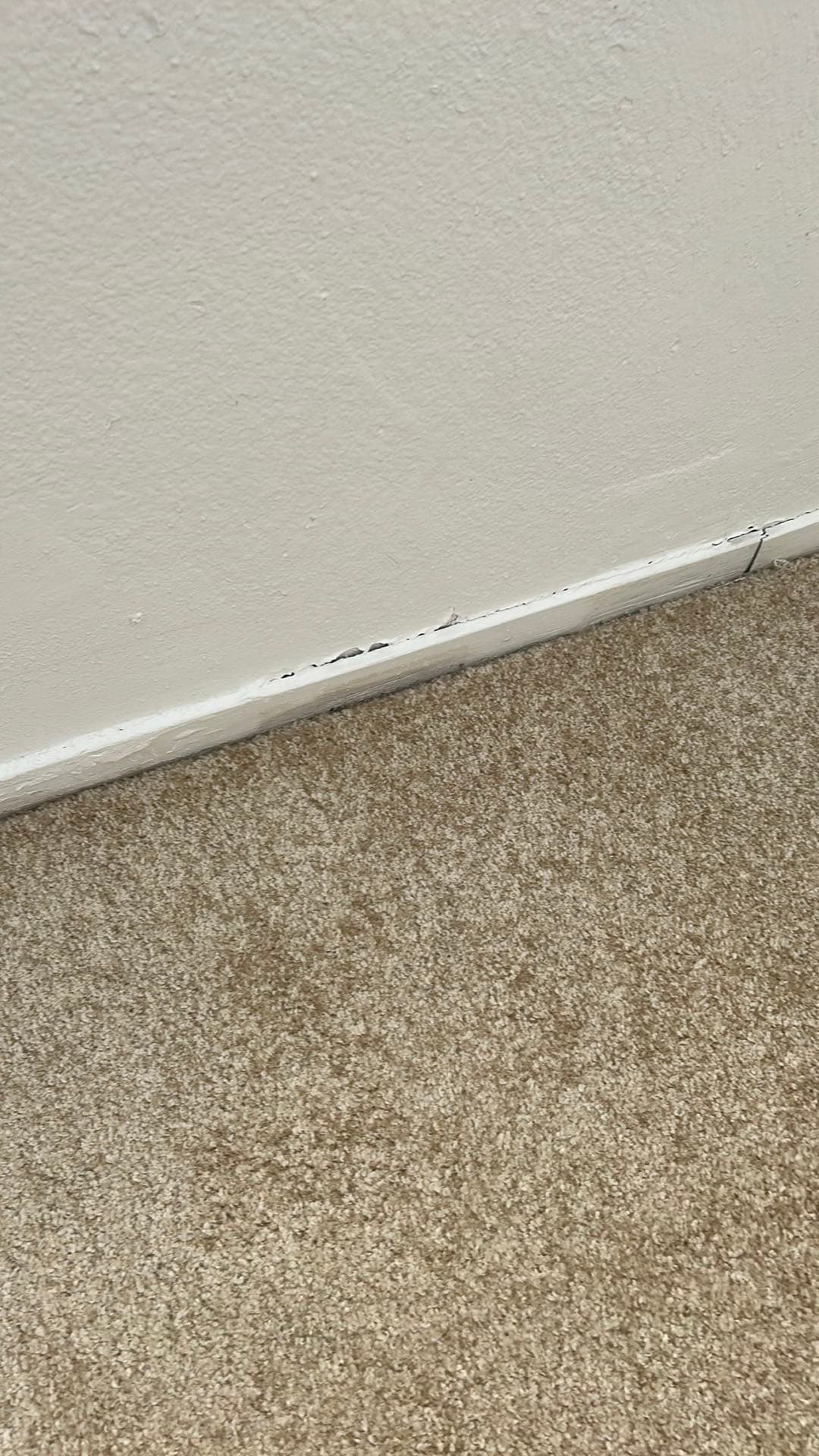 Renovated property after cash purchase in San Bernardino